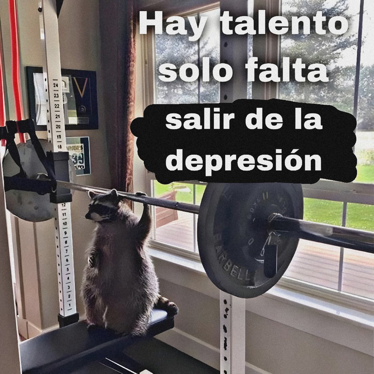 En_jupiter_'s tweet image. 