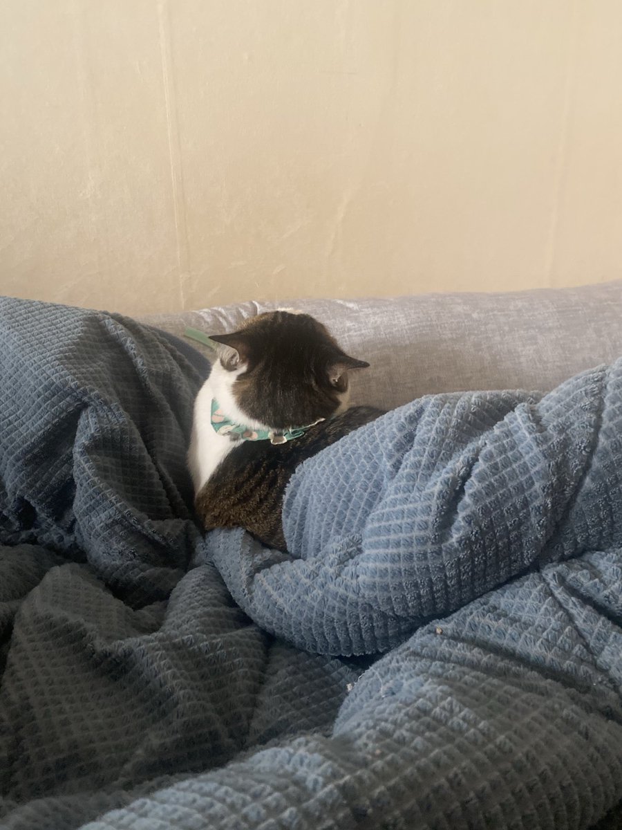 뒷모습 살인적으로 귀여움