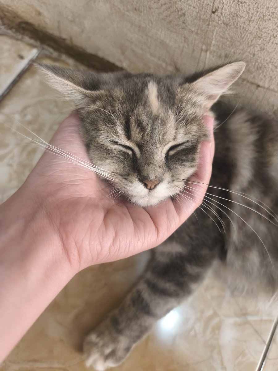 gatel aja kalo liat dia lagi nyantai