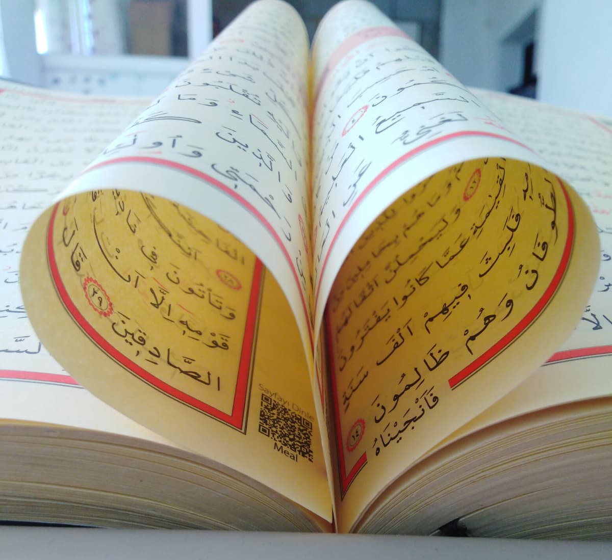 “Zaten bu dünya hayatı aldatıcı bir zevkten başka bir şey değildir.”

~Âl-i İmrân Sûresi~