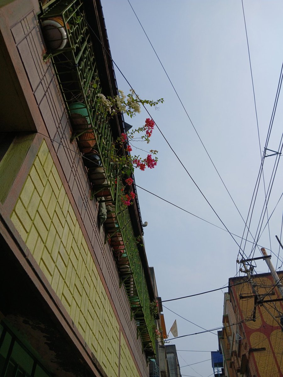 Whoiamyours's tweet image. Kya hi aachi photography karti huna mein? 😅😘