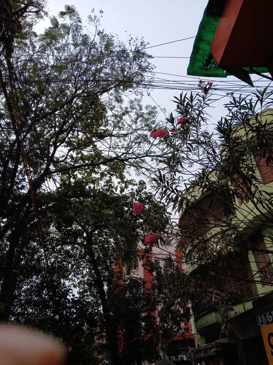 Whoiamyours's tweet image. Kya hi aachi photography karti huna mein? 😅😘