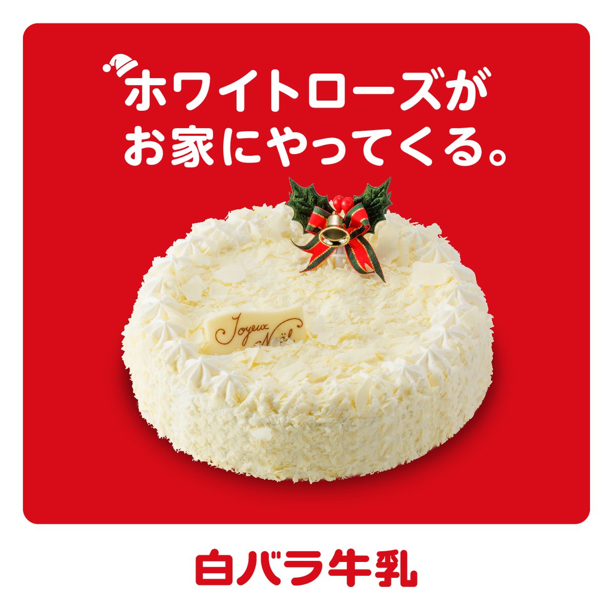 白バラのクリスマスケーキといえば… 🌟シンプルで大容量