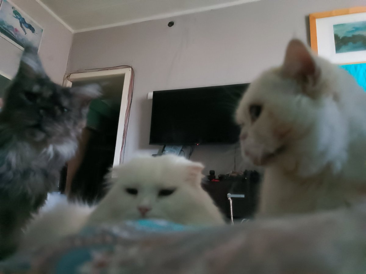 столкнулась с осуждением #Марфа #Айс #Лилу