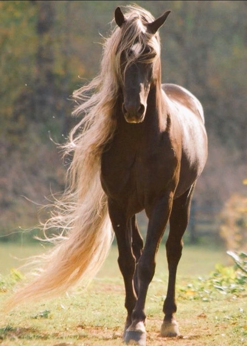 أبتعد عن الجميع …
وكن قريب من نفسك فقط …

م…