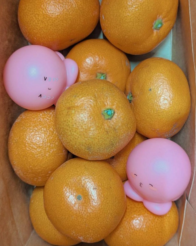 takopi_pr's tweet image. みかんの日
#タコピー