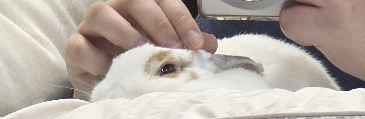 정말 사랑스러운 얼굴을 하고있었음