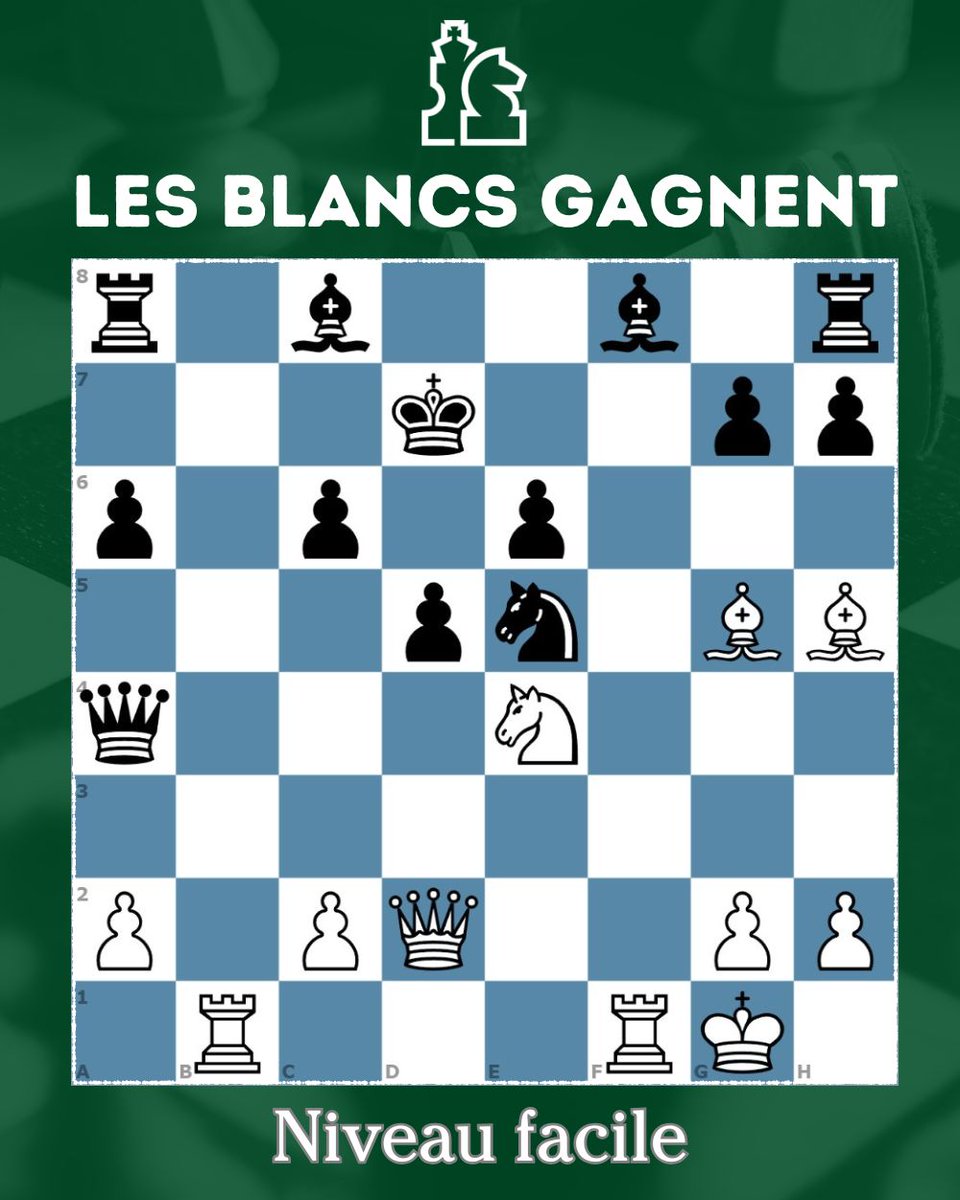 Europe Echecs tweet media