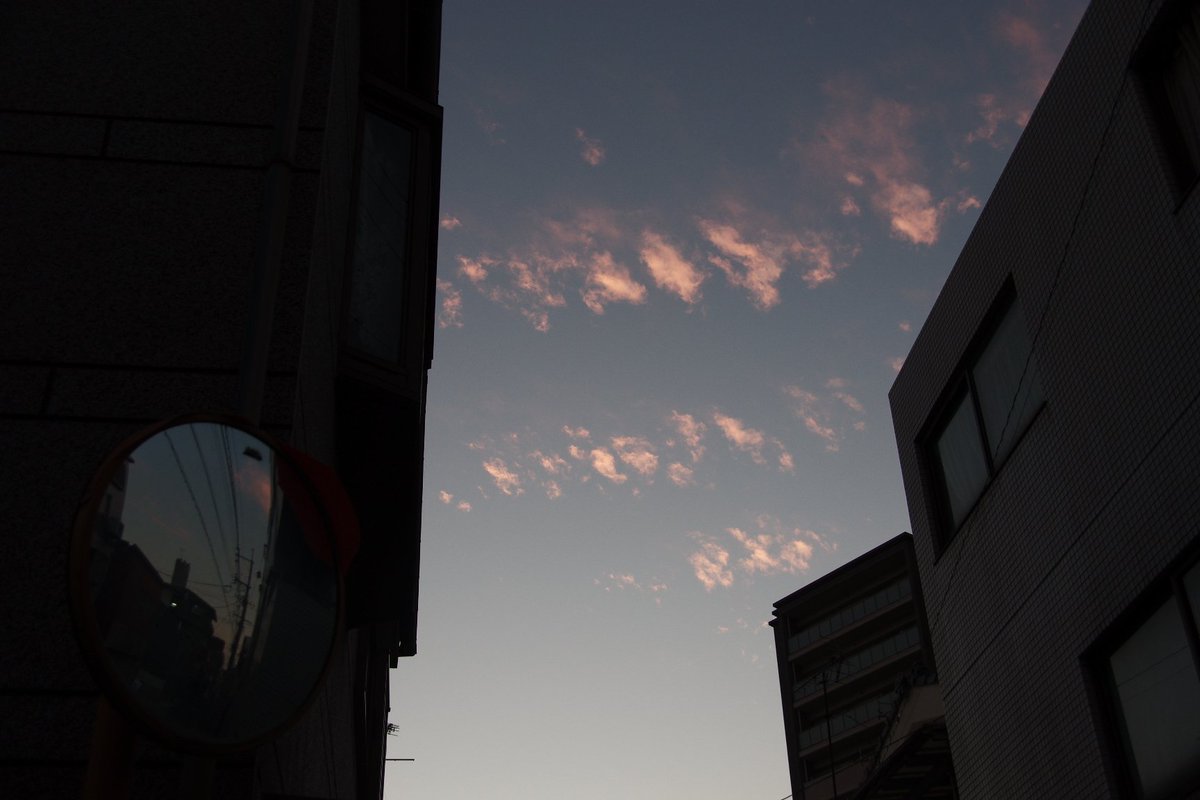 huerumegane's tweet image. 