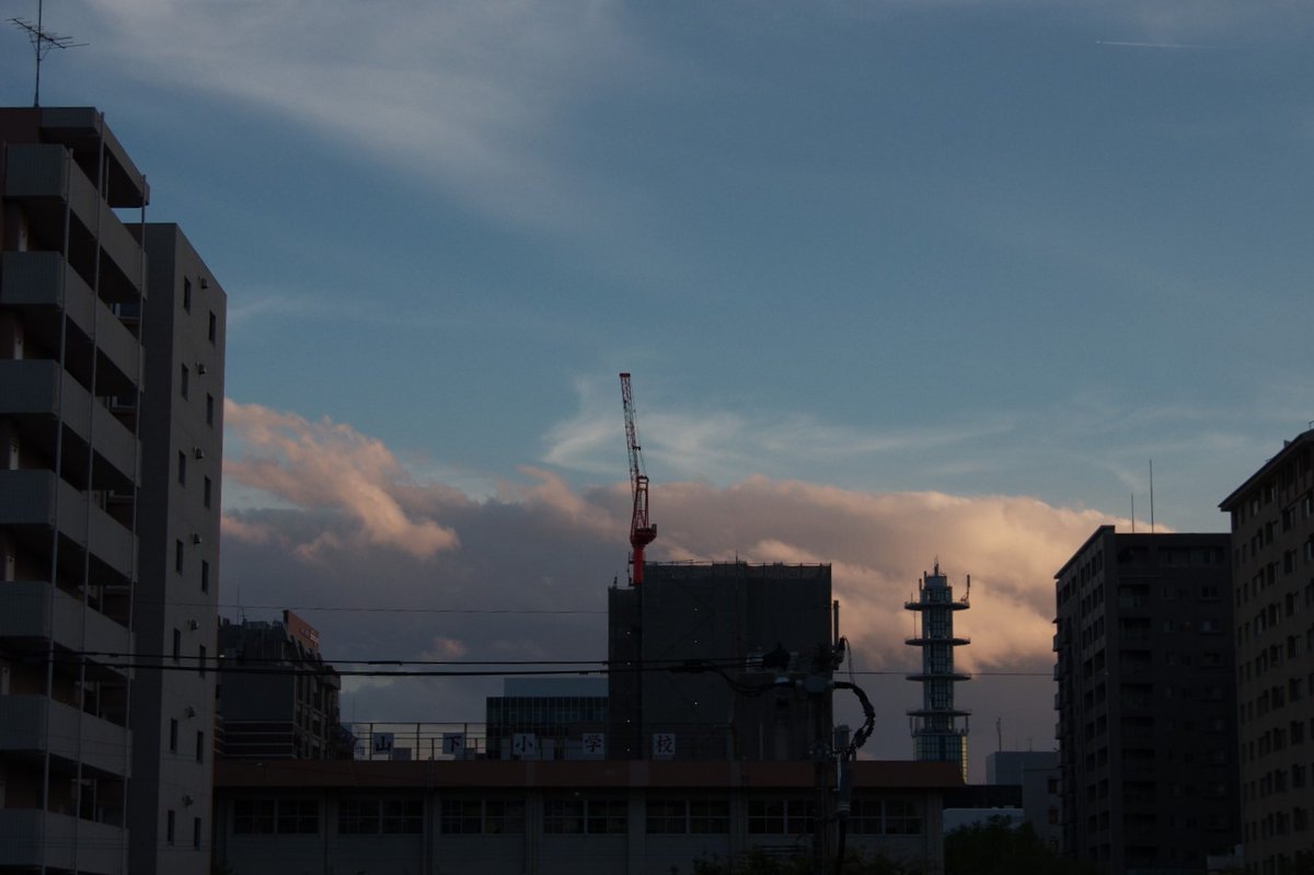 huerumegane's tweet image. 