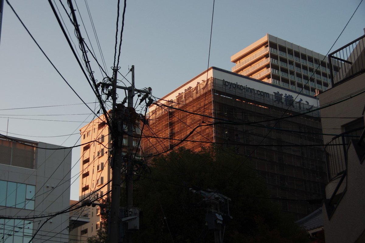 huerumegane's tweet image. 