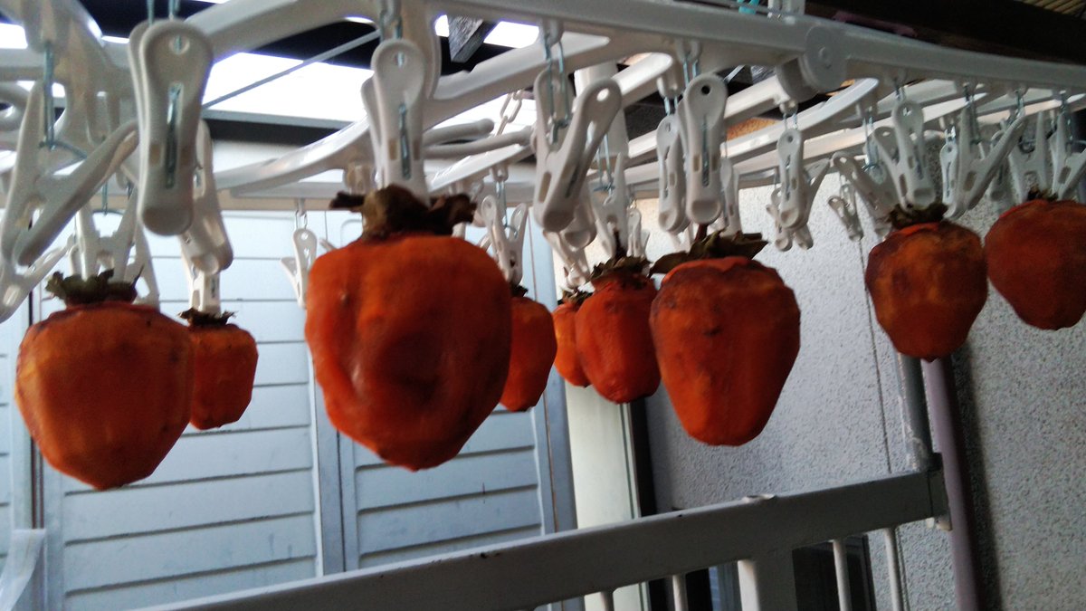 いい感じになってきた。楽しみだ。
#干し柿