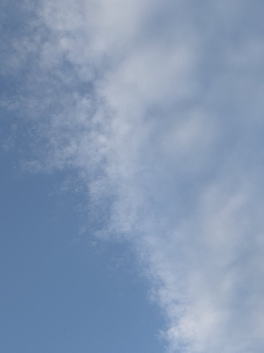 じゃくりん tweet media