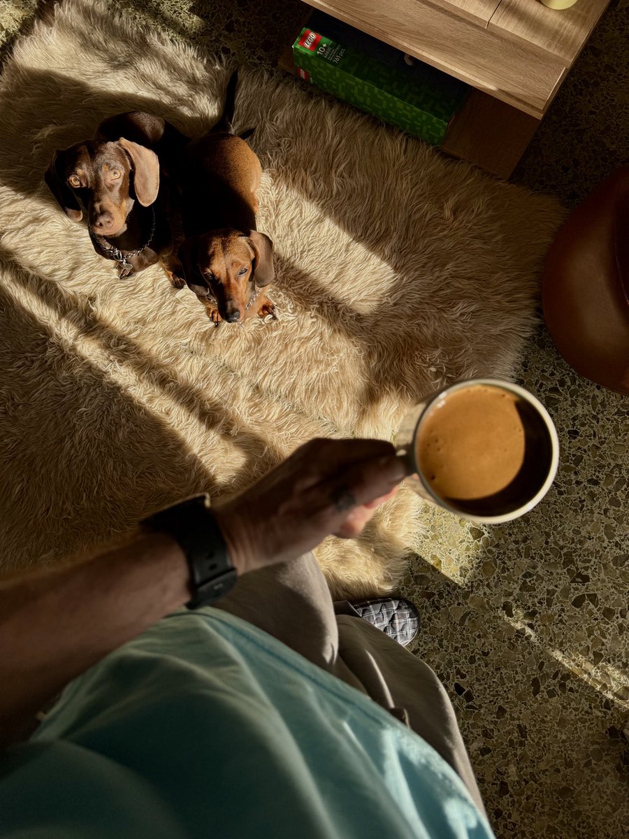 Nico 𝕏 tweet media