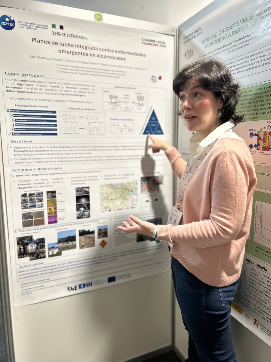 CICYTEX's tweet image. 📢Nuestra investigadora 👩‍🔬Belén Mendoza ha presentado el trabajo 'Planes de lucha integrada contra enfermedades emergentes en alcornocales'🦠🌳en el Congreso Nacional del Medio Ambiente ‘CONAMA Local 2025’ #ConamaLocal2025
📍En Viladecans
cicytex.juntaex.es/-/congreso-nac…
@DihExtremadura