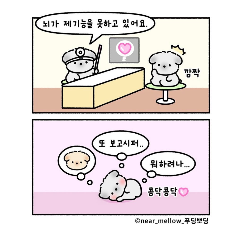 스똔 ☀️¹⁸ , 🌙²⁵⁀➷ 모구 tweet media