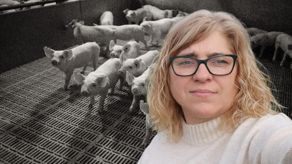 Artículo 14 tweet media