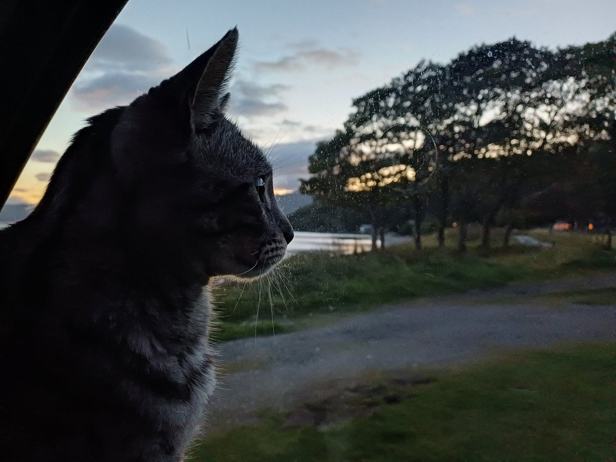 brew_with_view's tweet image. Watching the sun go down
#AlphabetChallenge #WeekWforWindows #viewfromthevan 😺
