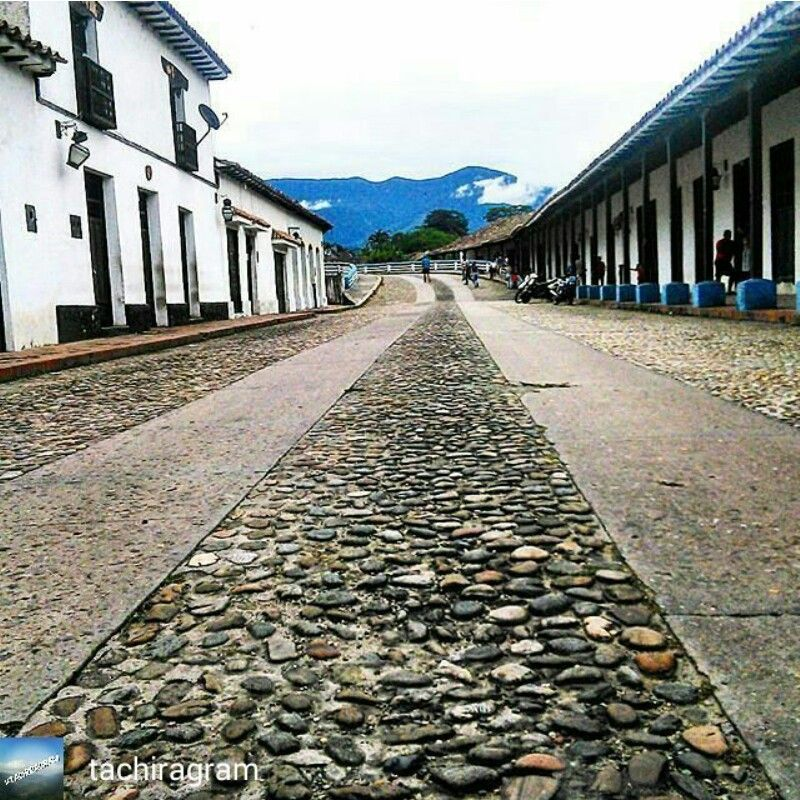 Desoste08's tweet image. Tu juras que es monte, mira, esto es monte ///// Y esto es un pueblo