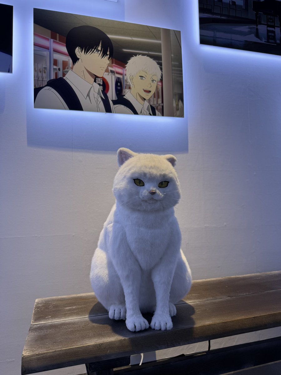 silvercat_x's tweet photo. 🥰 https://t.co/IvMDWdjmrC