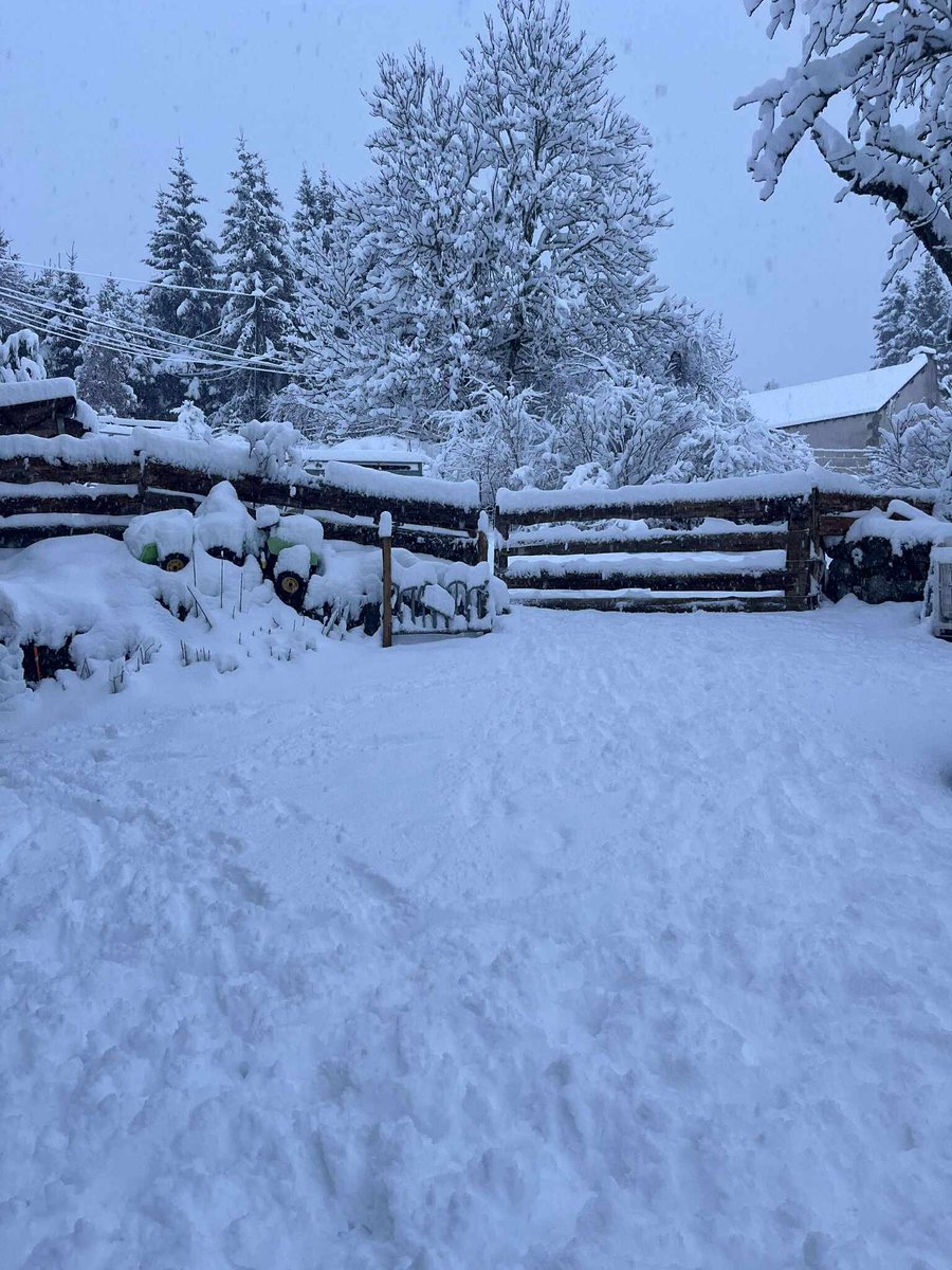 Meteovilles's tweet image. ❄️ La #neige est abondante en #Lozère ce matin du mercredi 3 décembre 2025, ici depuis la commune de #Villeneuve où il est déjà tombé 25 cm ! (photos Sandra Barbuda via Météo Languedoc)