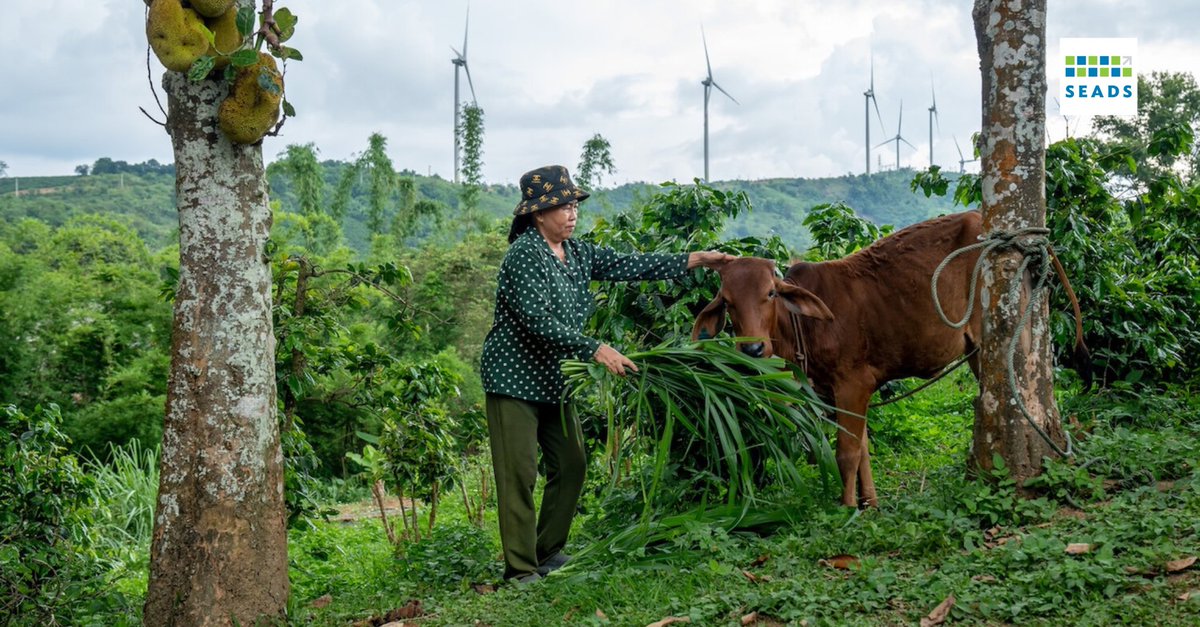 Wind power that transforms lives. ADB's lotus project generated $89.6 million for Viet Nam’s economy and brought stable jobs, better roads, and new businesses to rural Quang Tri.

READ: seads.adb.org/articles/how-r…

#SEADSforGrowth