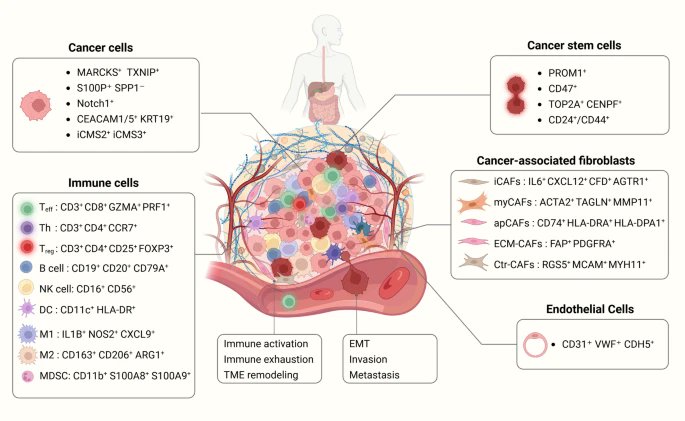 Journal of Experimental & Clinical Cancer Research tweet media