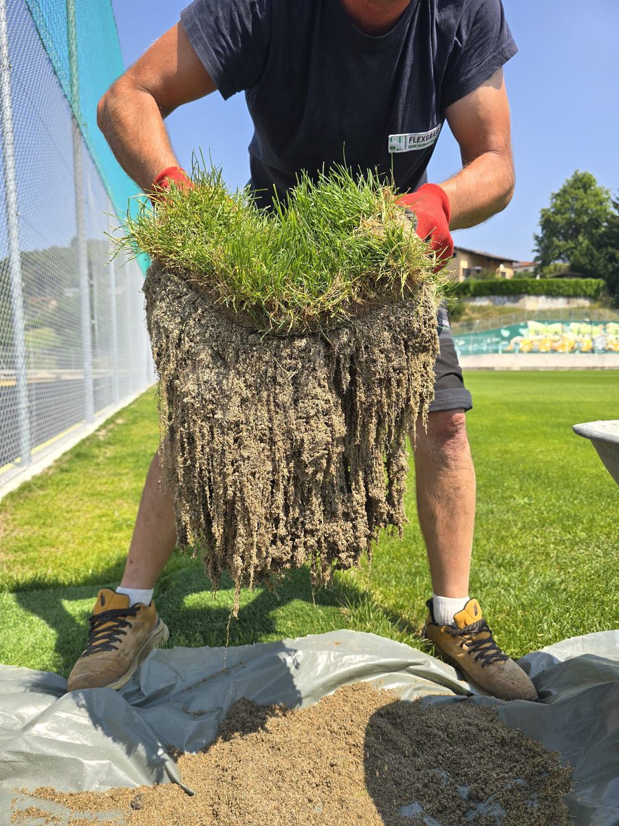 FLexGrass tweet media