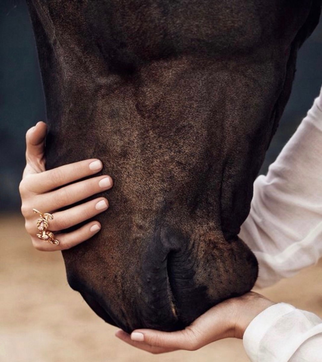 لكل من يسأل …
لماذا حروفك حزينة والحساب كئيب   …
هل جربت أن تشعر بحرارة دموعك على قلبك بدلاً من أثرها على خديك …

…؟!