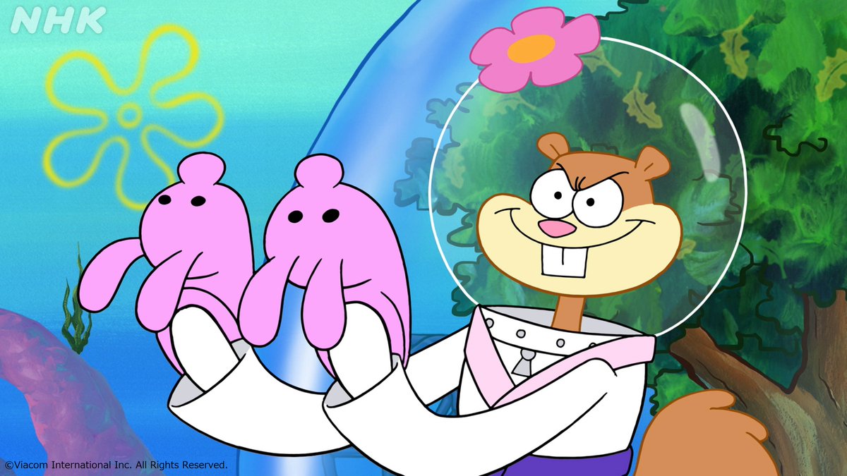 ロイヤルカナン 腎臓サポート500×2 腎臓サポートセレクション 30×10 ロイヤルカナン 【3袋セット】ロイヤルカナン 食事療法食 猫用  腎臓サポートセレクション ドライ 2kg : ペットゴー ヤフー店 - 通販 - Yahoo!ショッピング, image size:1200x675