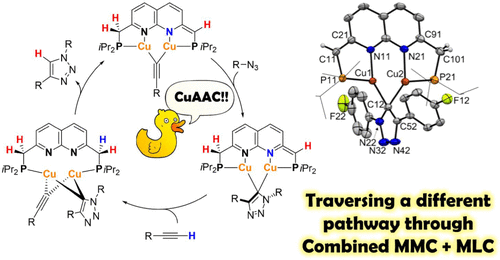 Daniel Broere tweet media
