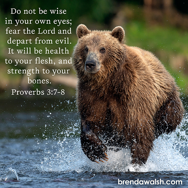 brendakwalsh's tweet image. Today&apos;s Daily Scripture Picture: Healing Through Humility
Proverbs 3:7-8 – “Do not be wise in your own eyes; fear the Lord and depart from evil. It will be health to your flesh, and strength to your bones.”

#scripture #bibleverse #biblestudy #healing #humble #strength #wisdom