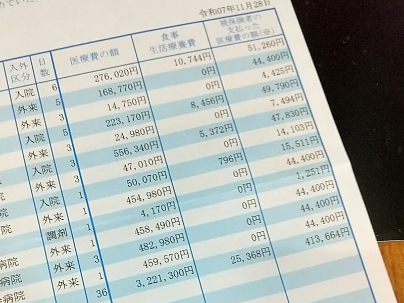 半年おきに来る医療費明細３回目。続きの11月から6月まで。
うわ(^q^)　手術とか入院とかしてた期間より掛かってる・・今入れてる薬がクソ高いのよね・・でも日帰りで済むし楽なのである・・