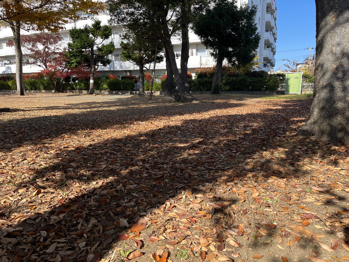 第16回一茶・山頭火俳句大会。
みなさまのご参加ありがとうございました！

作品集は発送完了し、みなさまのところにそろそろ届く頃かと思います。
動画はただいま編集中。
こちらも公開できましたらお知らせいたします。
お楽しみに！

写真はひょんの木のある公園@厚木