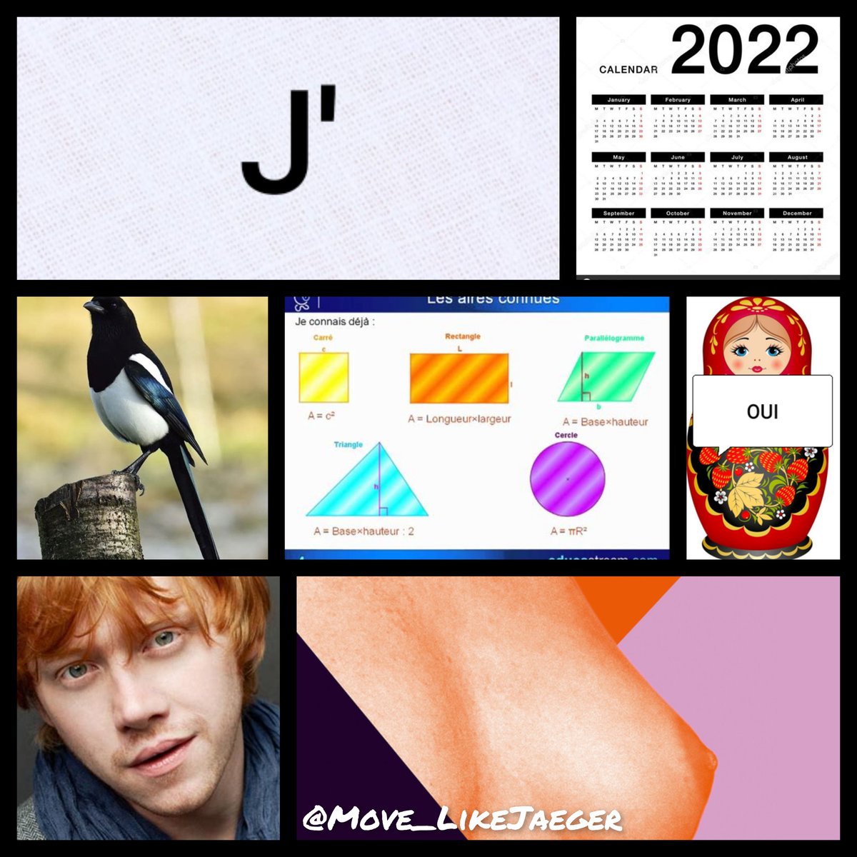 George Clown-né 🇺🇦🇺🇦🇺🇦 tweet media