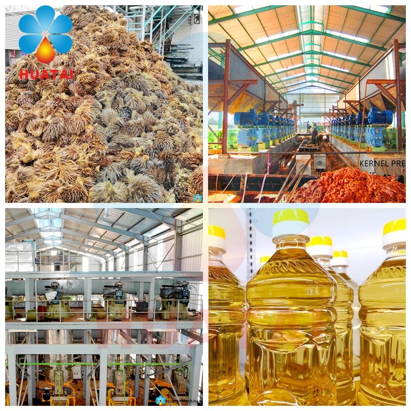 Huatai1987's tweet image. Palm Oil Turnkey Solution-Huatai builds palm oil plants for Africa
serving multiple palm oil projects in Nigeria, Congo, Burundi, and other countries
DM for project case studies
huataioilmachine.com/solution/palm-…
info03@cnoilmachine.com
#PalmOil #OilProcessing #AfricaBusiness #FoodIndustry