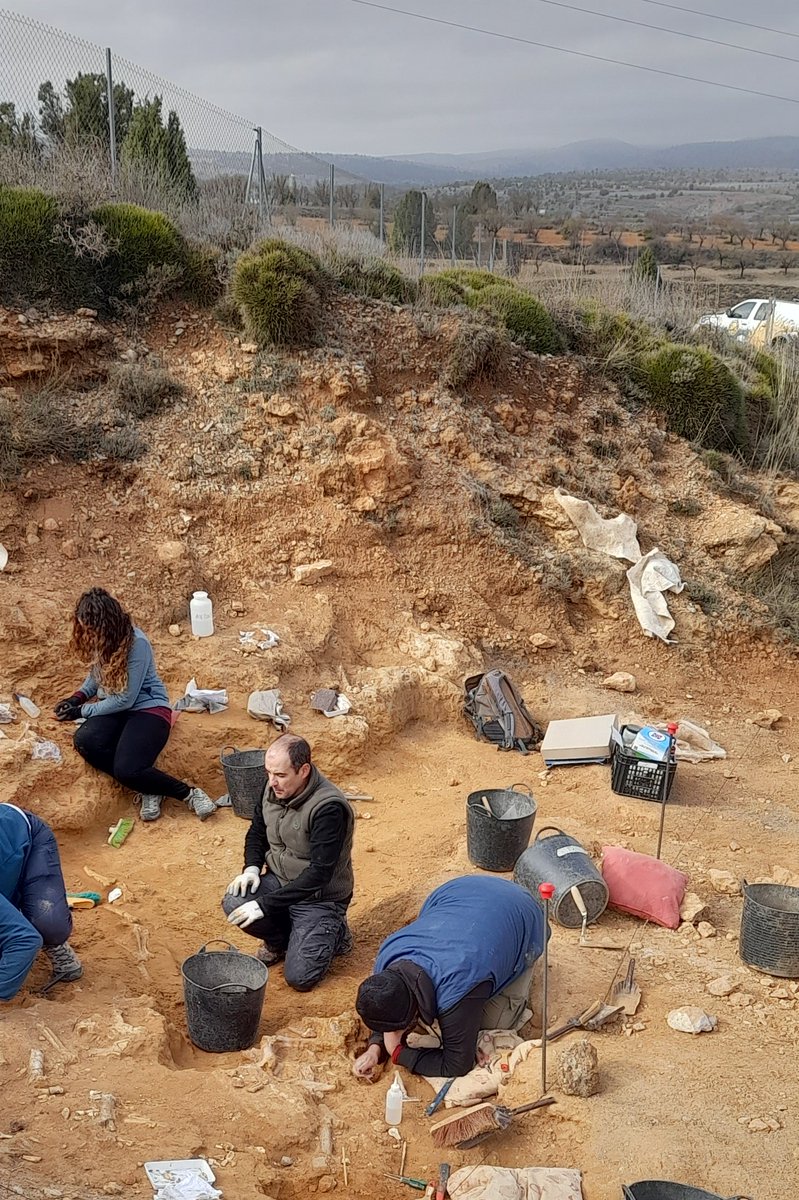 Dinópolis Teruel tweet media