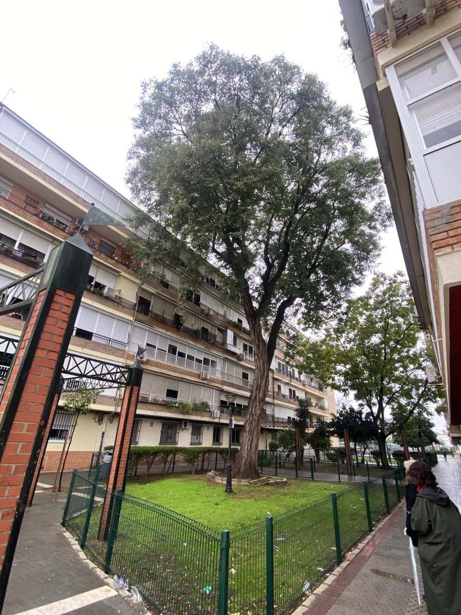 Jesus M. Castillo tweet media