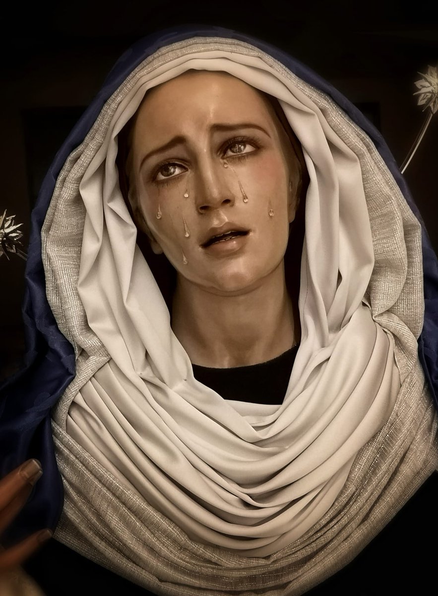 Nuestra amantísima titular porta saya en azul cobalto, rostrillo y fajín en plata, manto en color beige y toca de sobremanto en azul inmaculado.