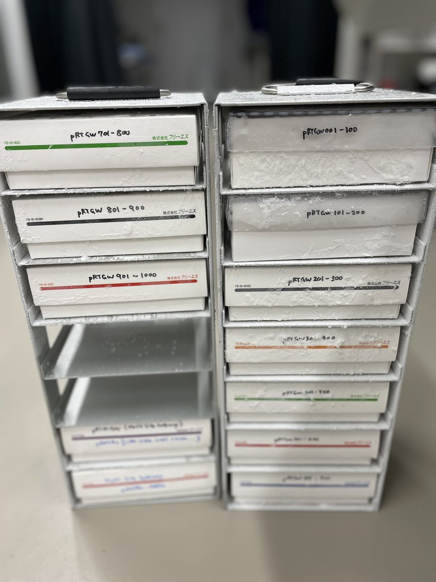 得津隆太郎 (R. Tokutsu)@北里大・生物機能開発学研究室 tweet media