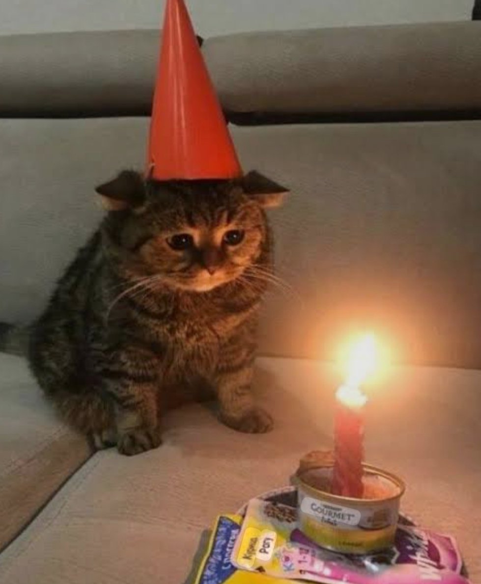 OdeeFN's tweet image. 15