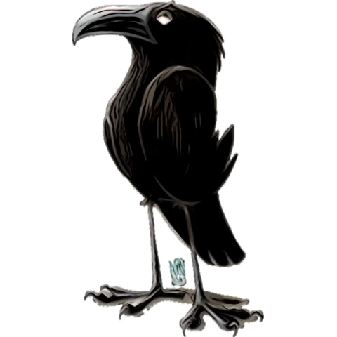 Çok bilmiş bir karga günlerden bir gün…