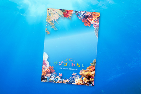 数量限定！/ えのすい特別企画展 「くらべてみよう サンゴとわたし
