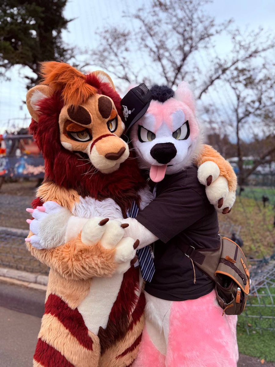 ガルボかわいい~😋

🐾: <a href="/Galbo_dg/">ガルボ / Galbo</a>
📷 :<a href="/NELE_chung/">Nele & Benny🐾</a>

#Kemocon18