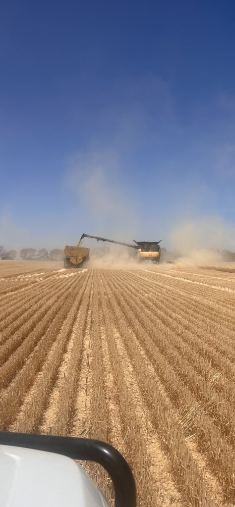 Seed Terminator tweet media