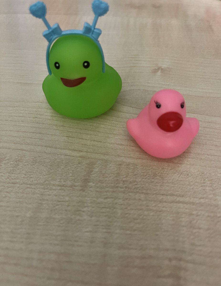 anonymousbread8's tweet image. #joofthemorning #duckoftheday the pure silliness in this photo