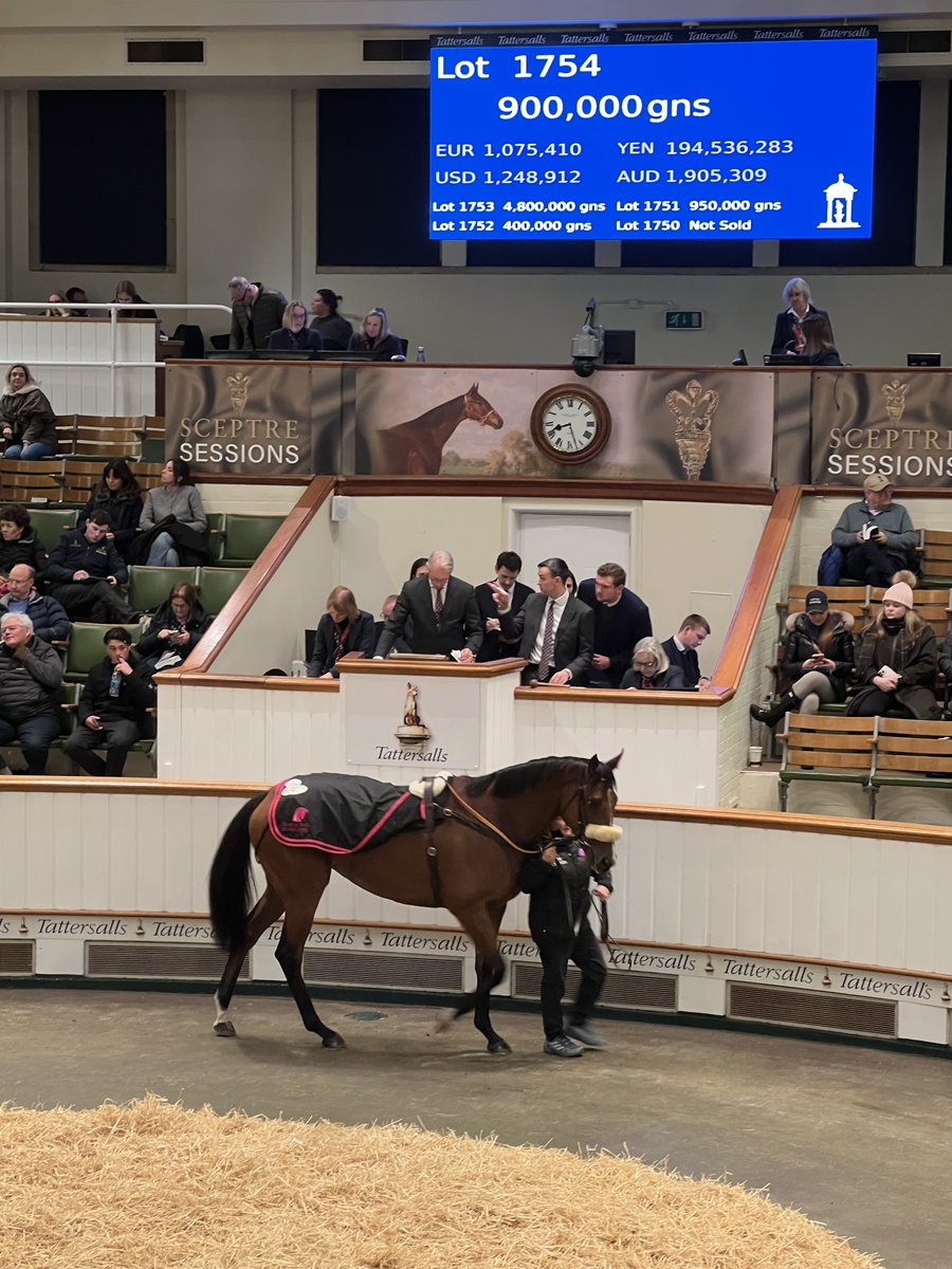 varianstable's tweet photo. 40,000gns ⏩ 900,000gns

𝐋𝐚𝐝𝐲 𝐎𝐟 𝐒𝐩𝐚𝐢𝐧 was purchased by us as a yearling @Tattersalls1766 for 40,000 and was resold last night for 900,000gns to Katsumi Yoshida. 

The Gr.3 Atalanta Stakes winner and Gr.1 Sun Chariot fourth was consigned by @BarodaStudIre and we're delighted that she's off to such a good home 🏡
Wishing her new connections the very best of luck with her! 

#LadyOfSpain #Sceptresessions #Varianstables