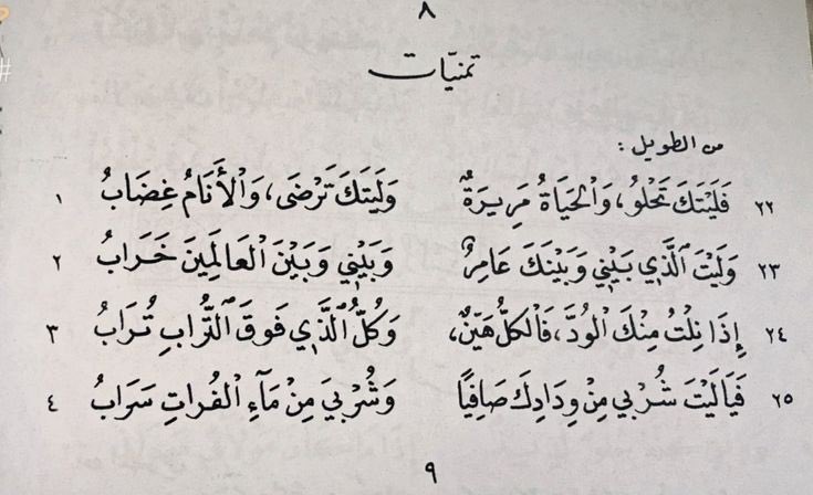 bulble91's tweet image. تمنيات 🤍🌸