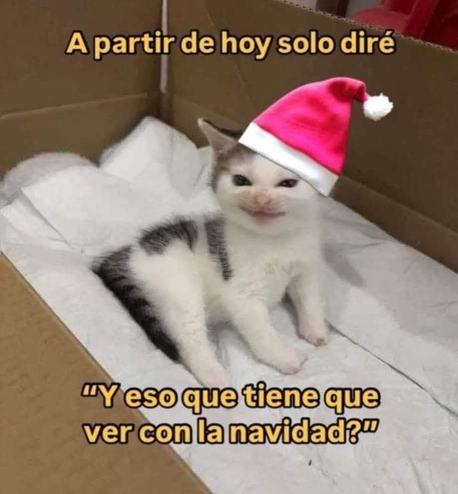 🇲🇽 México Mágico ✨ tweet media