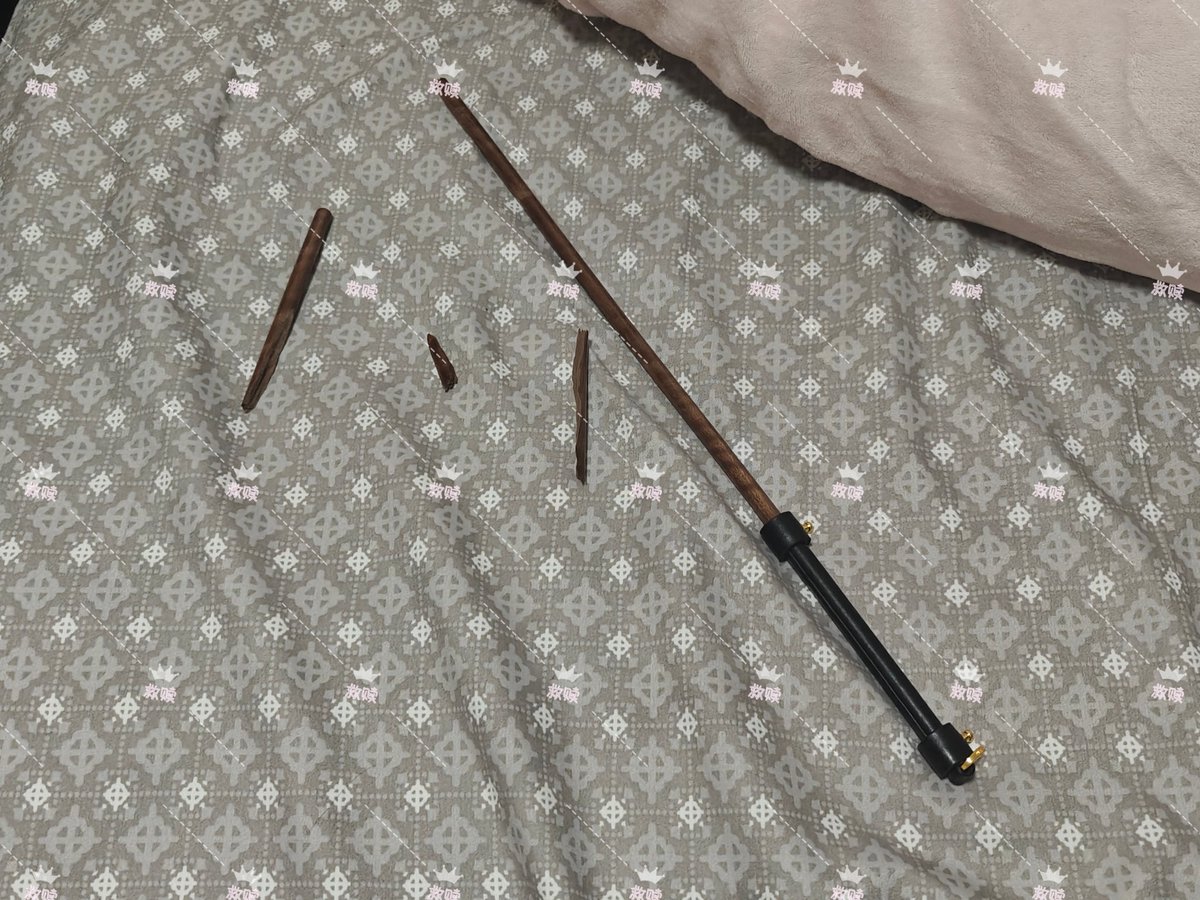 工具又废一个 #sp #女主 #女S调教 #断工具 #长期管教